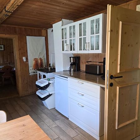 Lederer Haeus'L, Ferienwohnungen Ellmau Exterior foto