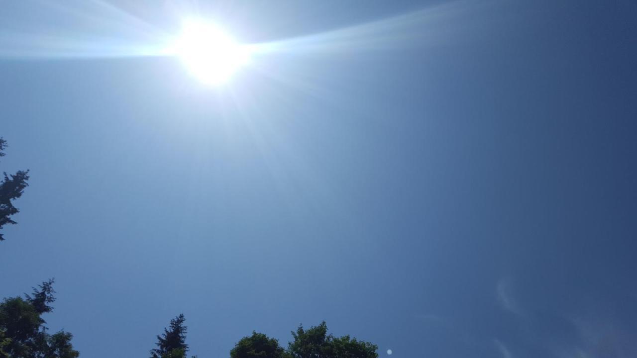 Lederer Haeus'L, Ferienwohnungen Ellmau Exterior foto